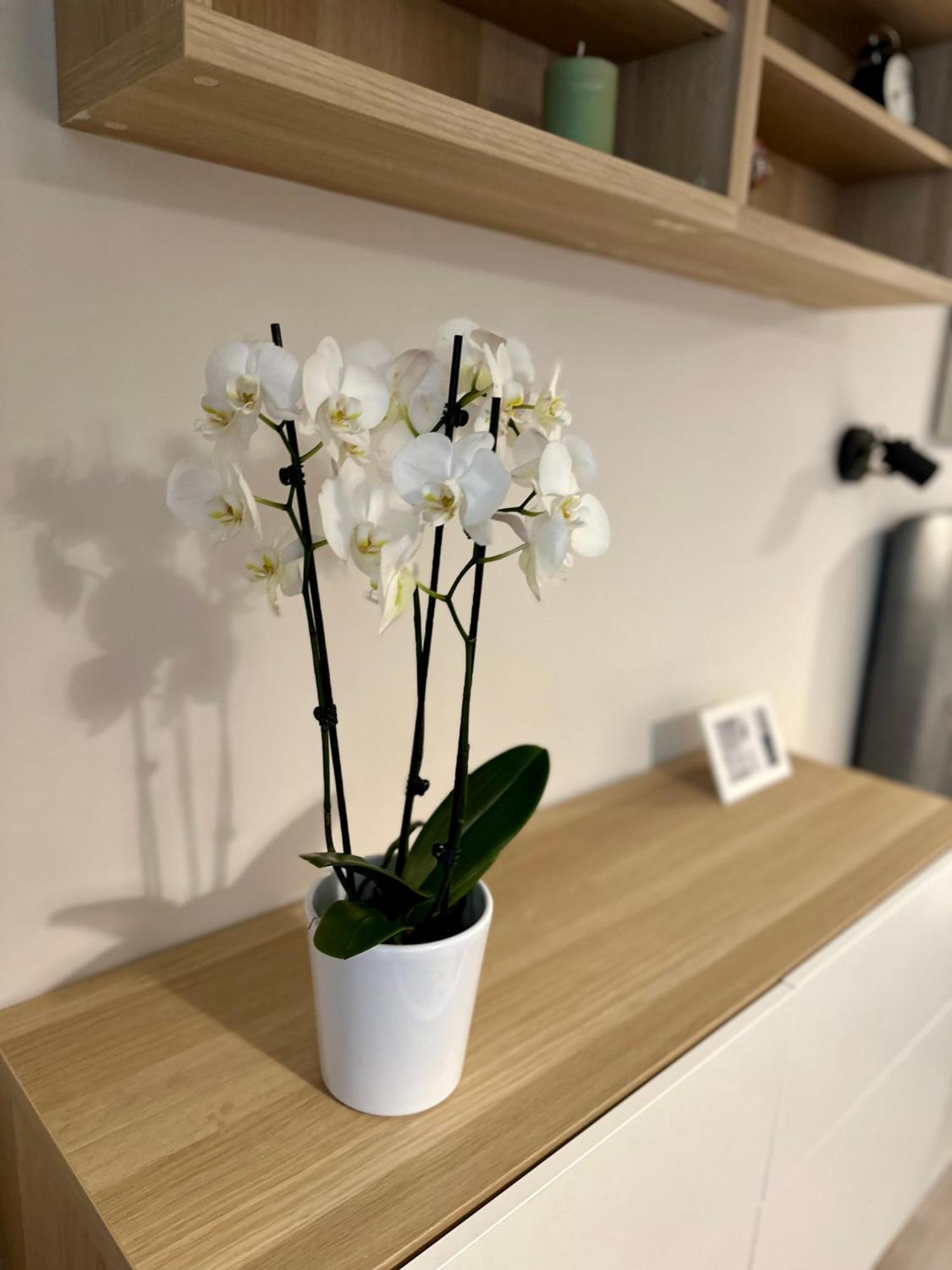 Serenity Studio Burgas City Eksteriør billede